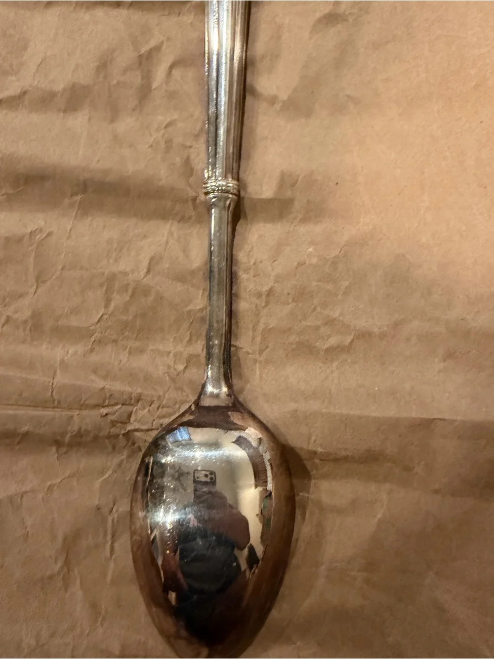 Polished Silver Serving Spoon - Classic Silver Tone